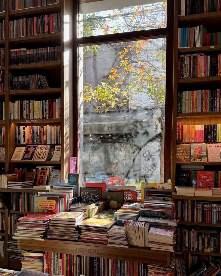 Book Adaptations I Yearn&nbsp;For